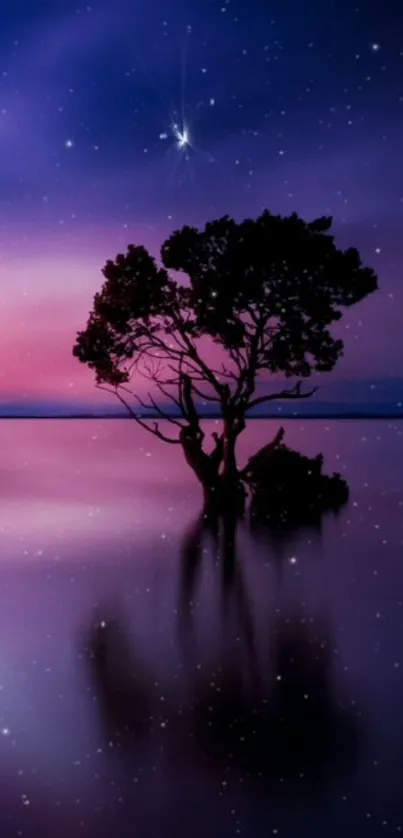 Twilight tree reflection under a starry sky with purple and pink hues.