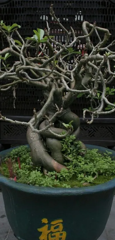 Twisting bonsai tree in a decorative pot against a detailed backdrop.