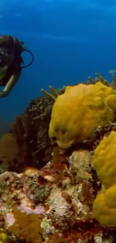 Scuba diver exploring colorful coral reef underwater.