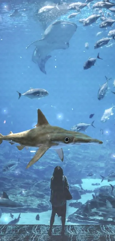 Woman watching sharks swim in a vast aquarium.