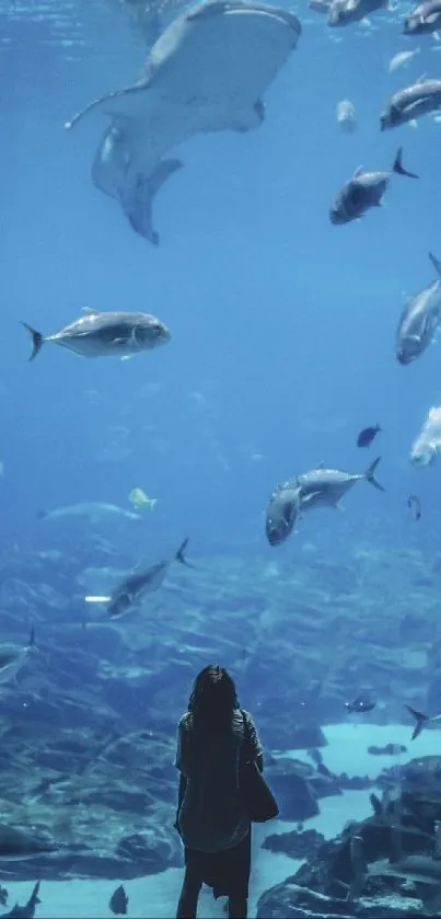 Person gazing at diverse fish in a large aquarium tank.