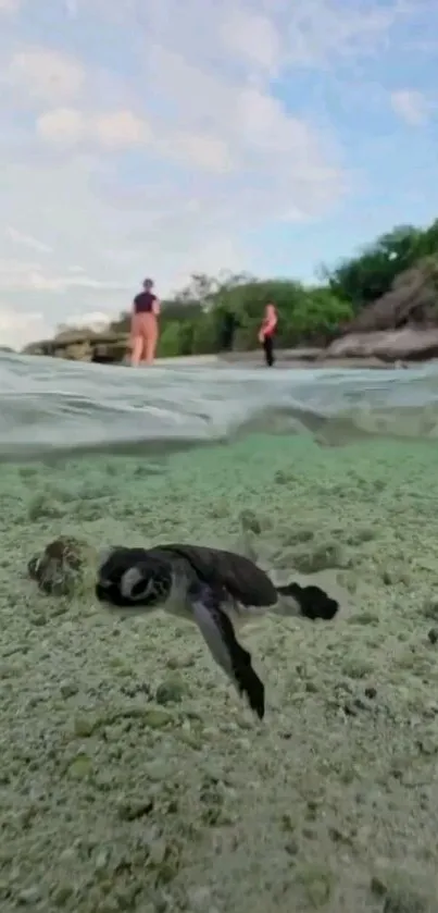 Underwater view of a turtle near a beach with lush greenery and people on shore.