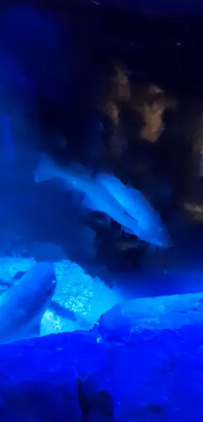 Blue underwater scene with swimming fish.