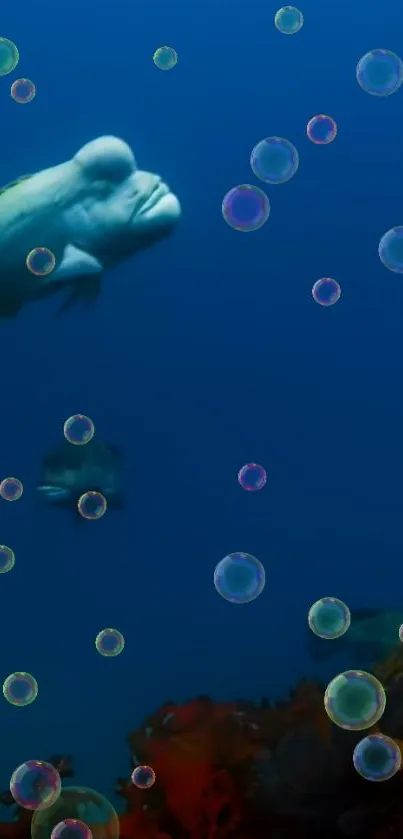 Underwater scene with fish and bubbles in a blue ocean.