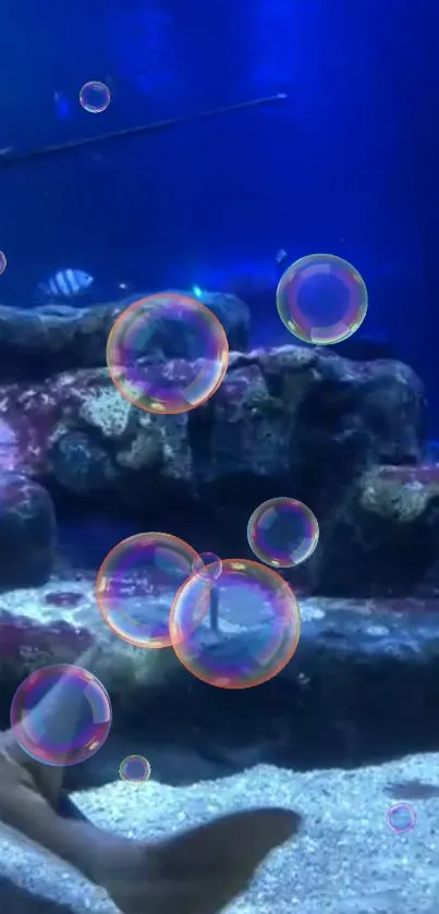 Underwater scene with bubbles and rocks in a blue marine setting.