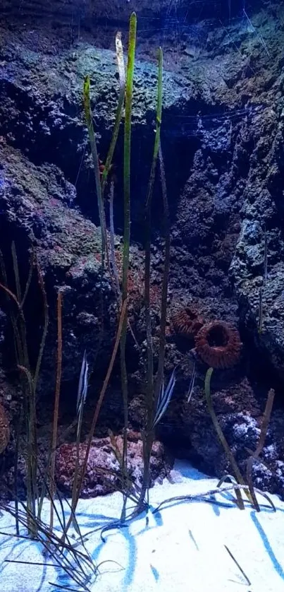 Underwater cave scene with marine life and vivid rock formations.