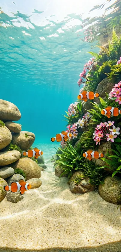 Clownfish swimming in colorful underwater scene with corals.