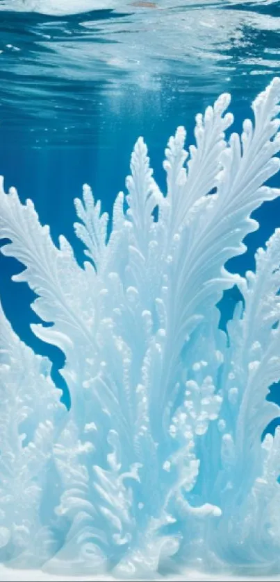 White coral in a vibrant blue ocean.