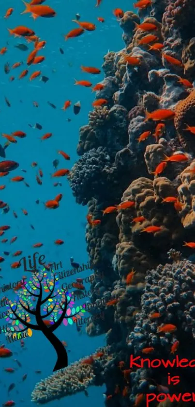 Vibrant coral reef with fish and educational text on an ocean-themed wallpaper.