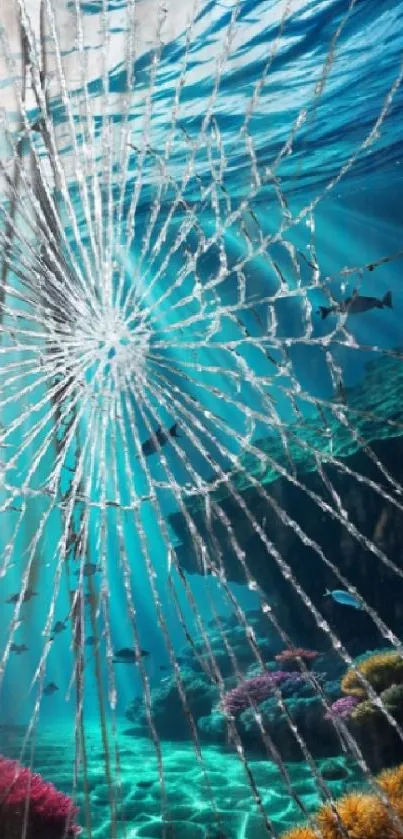 Underwater cracked glass with vibrant sea life.