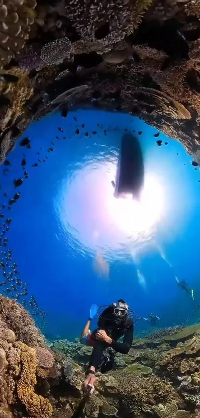 Diver exploring vibrant coral reef underwater.