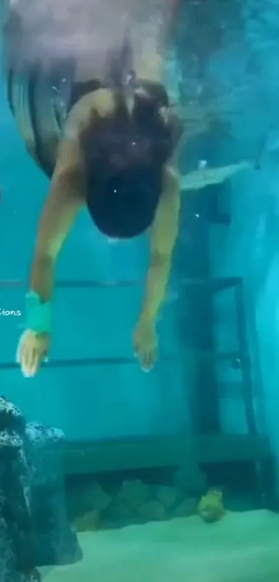 Underwater diving scene with swimmer in vibrant blue aquatic environment.