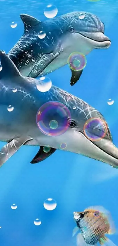 Dolphins swimming in vibrant underwater scenery with bubbles and coral.