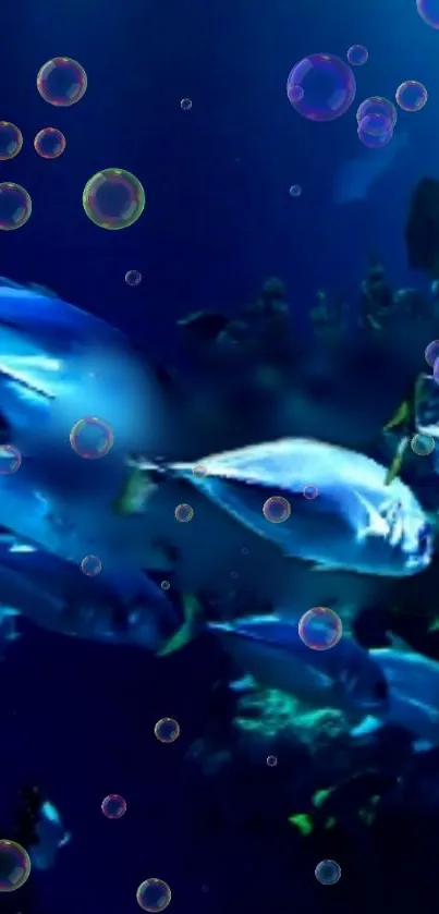 Underwater scene with fish and bubbles against a dark blue ocean background.