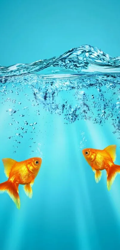 Underwater goldfish swim in turquoise water.