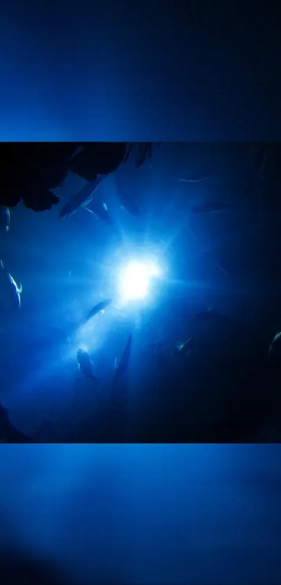 Underwater scene with blue light rays and silhouetted fish.