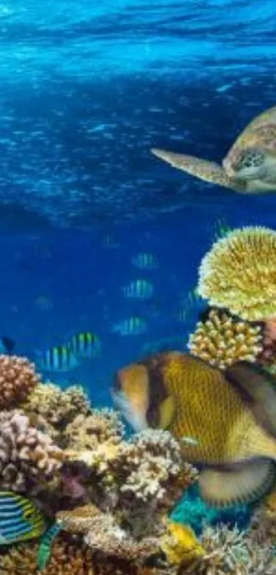 Vibrant underwater scene with fish and coral reefs in a blue ocean.