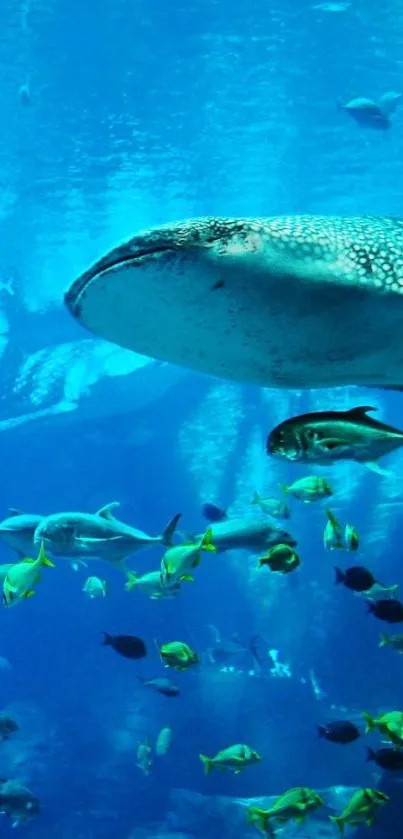 Captivating underwater ocean scene with diverse marine life.