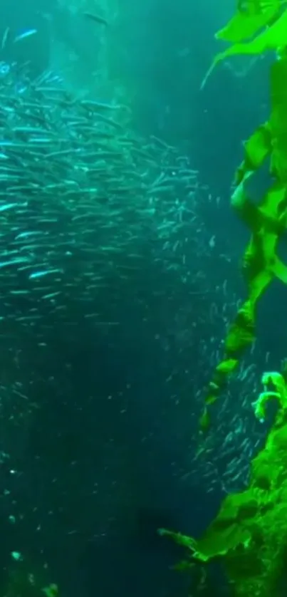 Vibrant green seaweed with fish in underwater scene.