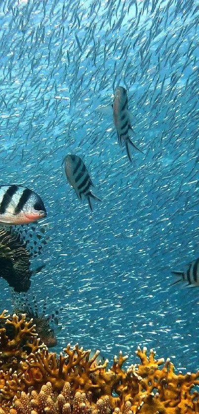 Vibrant underwater scene with coral and fish.