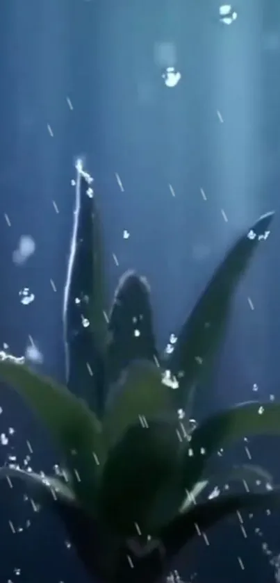 Underwater plant with droplets in a dark blue background.