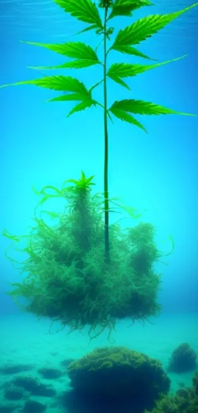 Serene underwater plant against vibrant blue backdrop.