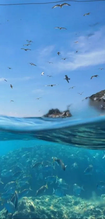 Underwater seascape with blue waters, fish, and seagulls in the sky.