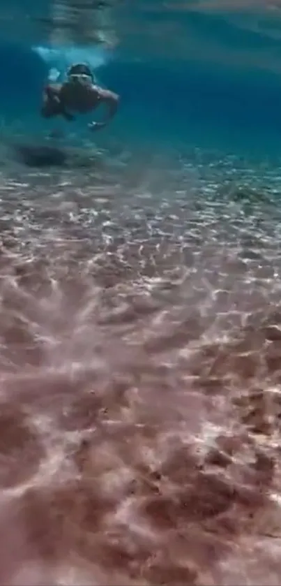 Underwater scene with diver and clear blue ocean waters.