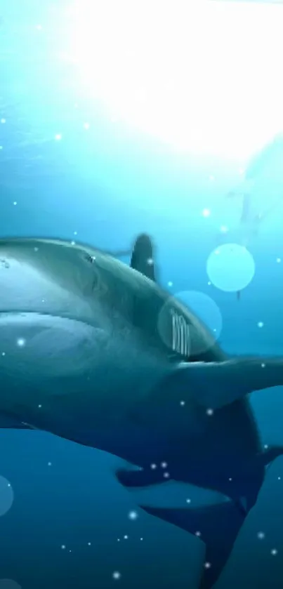 Stunning underwater shark with bubbles in blue ocean.