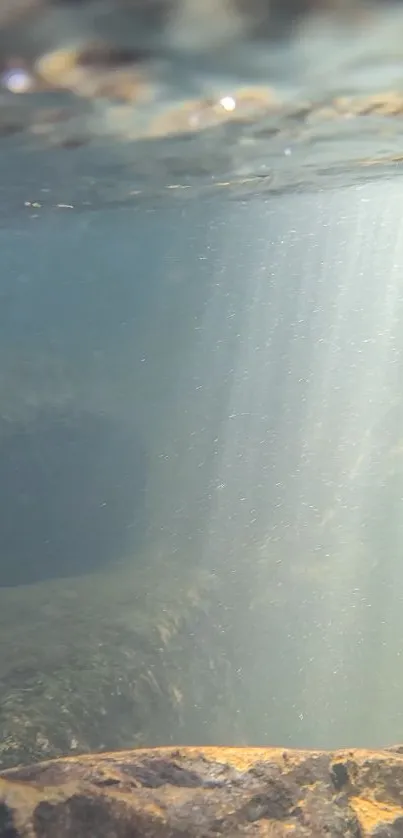 Sunlight filtering in a tranquil underwater scene, creating serene rays.