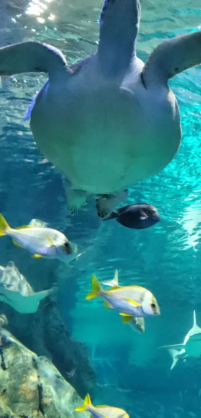 Underwater view of a turtle swimming with colorful fish in a vibrant ocean scene.