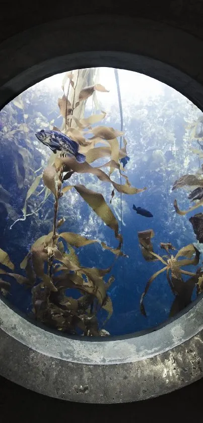 Porthole view of underwater seaweed with dark blue hues.