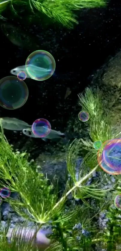 Vibrant underwater scene with fish, plants, and bubbles.