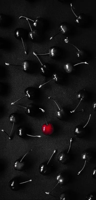 Black background with one red cherry.