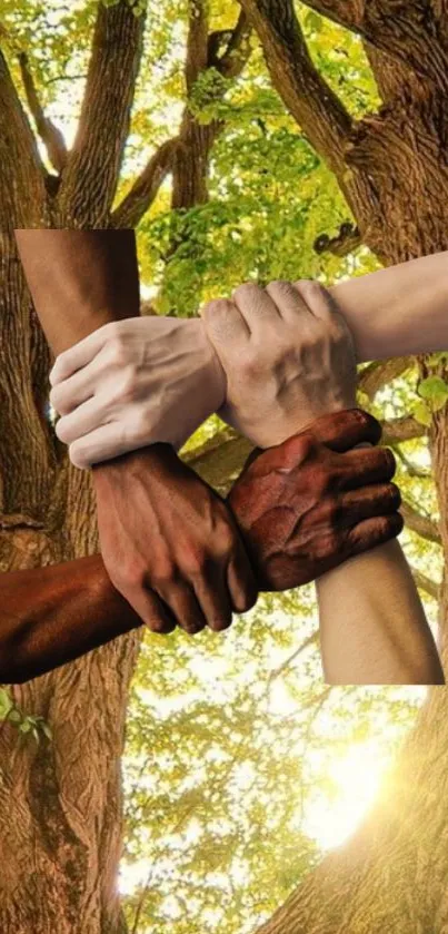 Hands of different skin tones united against a forest background.