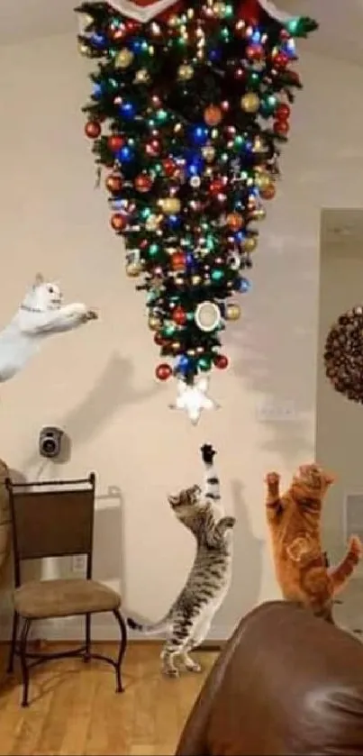 Cats play under an upside down Christmas tree in a cozy living room.