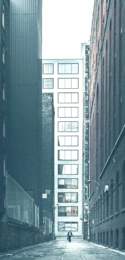 A serene urban alleyway flanked by tall buildings.