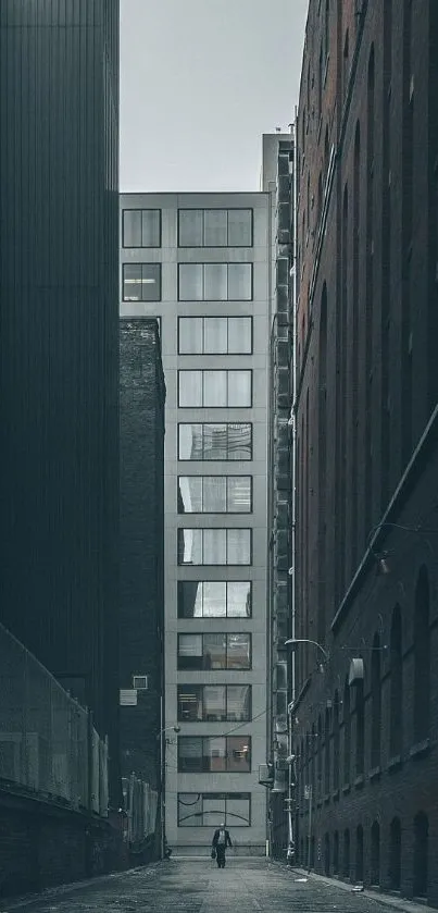 Urban alleyway with modern buildings displaying architectural beauty.