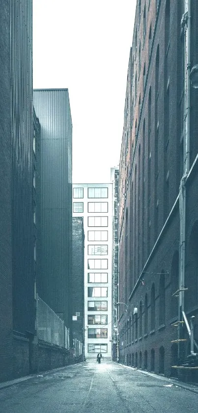 Serene urban alleyway with tall buildings and a minimalist design.