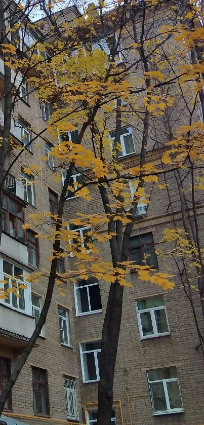 Urban autumn scenery with tree and brick building.