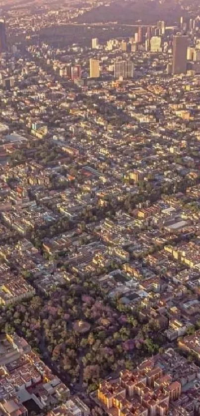 Aerial view of sprawling cityscape at sunset, highlighting urban grid patterns.