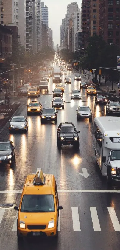 Urban evening traffic on a rainy street with city lights.