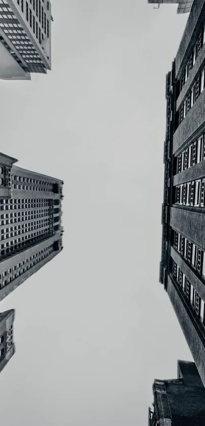 Monochrome cityscape with skyscrapers viewed from below.