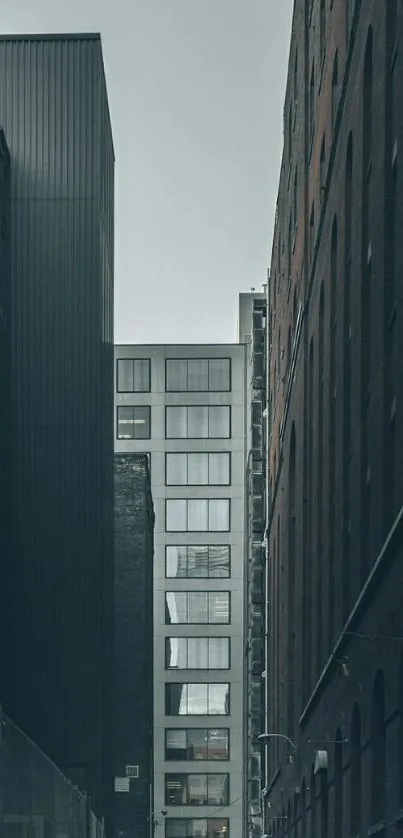 Monochrome urban alleyway with towering buildings.