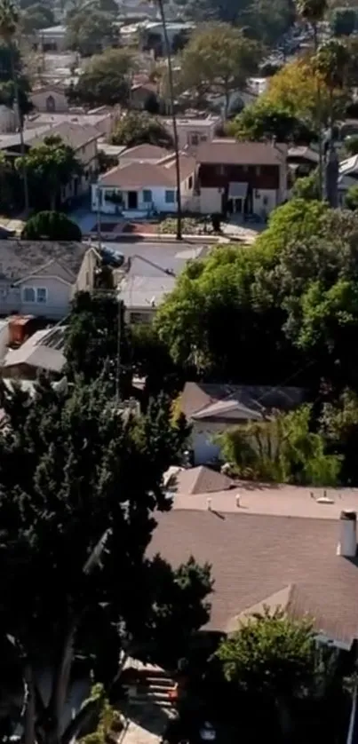 Aerial view of a green urban neighborhood with houses and trees.