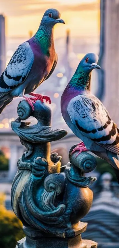 Two pigeons perch on a decorative statue at sunset.