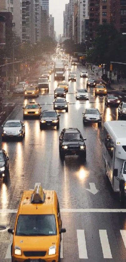 Rainy city street with cars and lights at dusk.