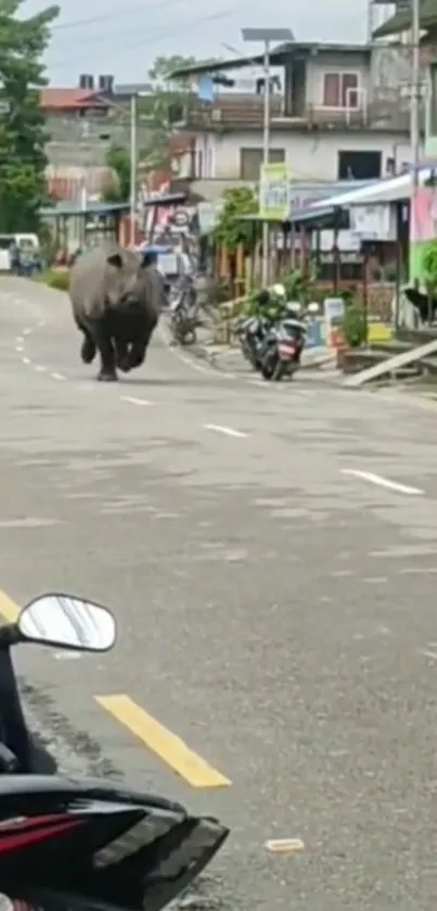 Rhino running in urban street setting with town buildings.