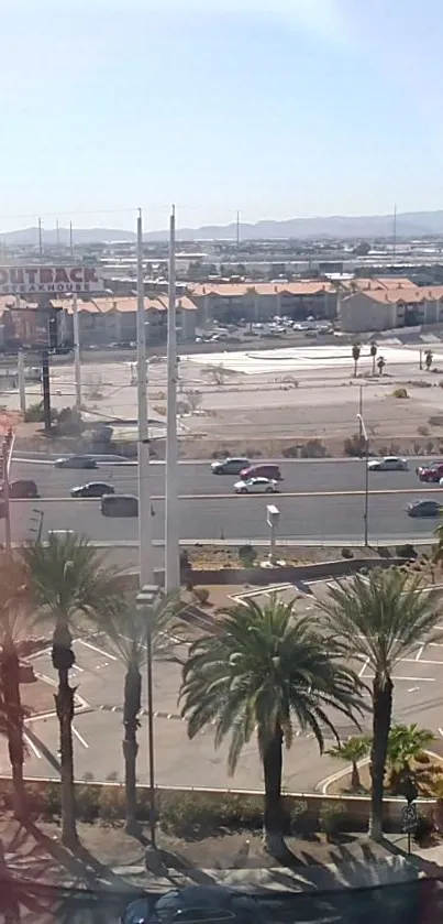 Scenic urban roadside with palm trees and city view in the background.