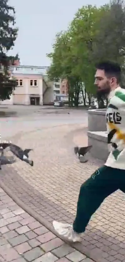 Man running past pigeons in an urban setting.